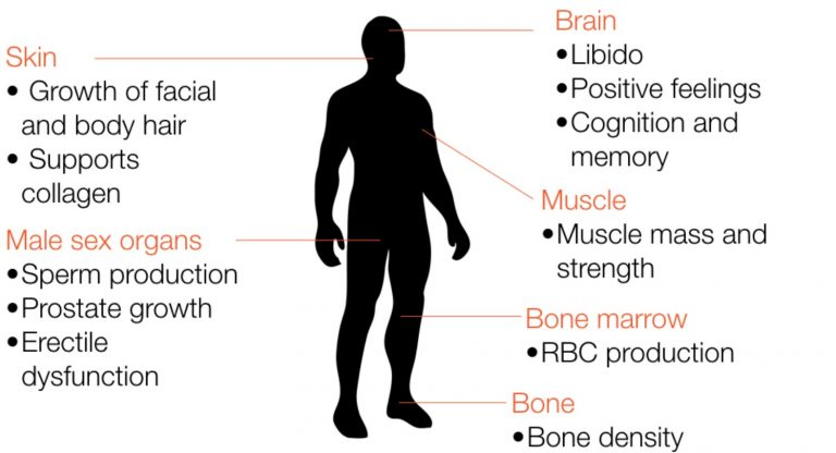 is boosting testosterone good